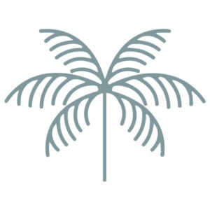 Palm Vascular