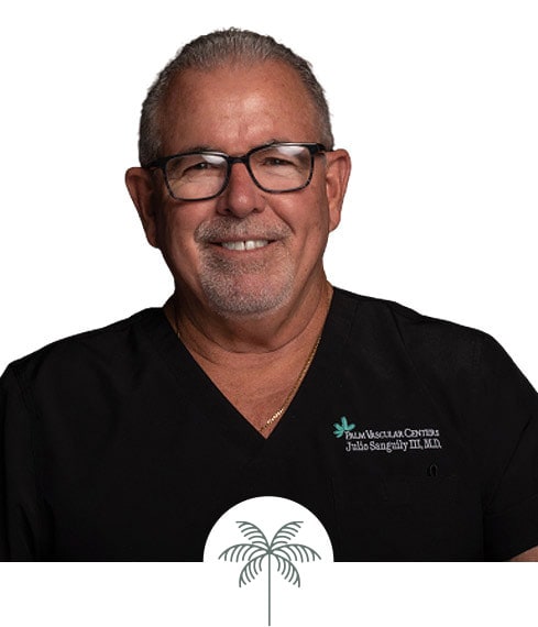 Dr. Julio Sanguily III