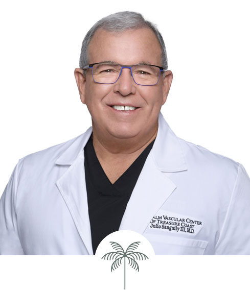 Dr Julio Sanguily III MD